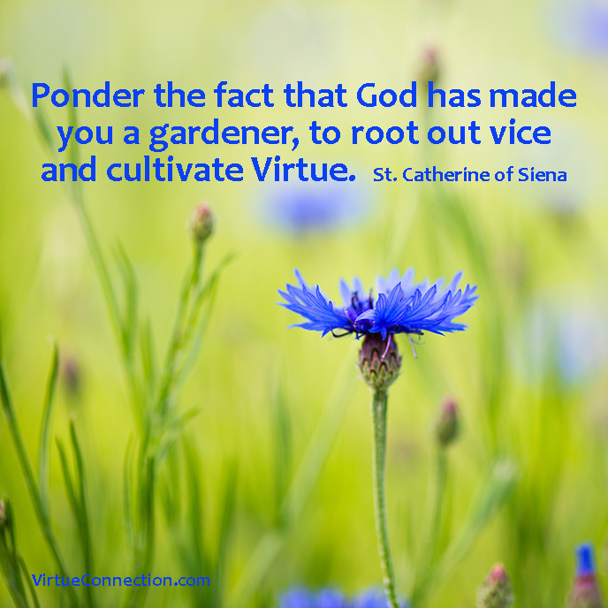 St Catherine on Virtue
