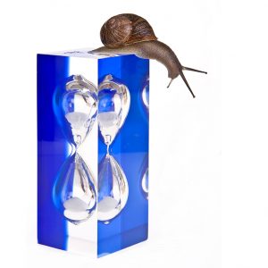 patience snail and hourglass
