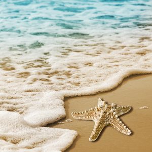 Starfish and soft wave on the sandy beach